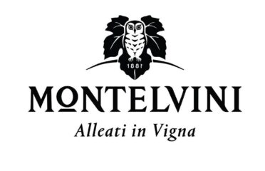 Montelvini srl