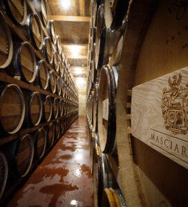 Masciarelli Tenute Agricole srl