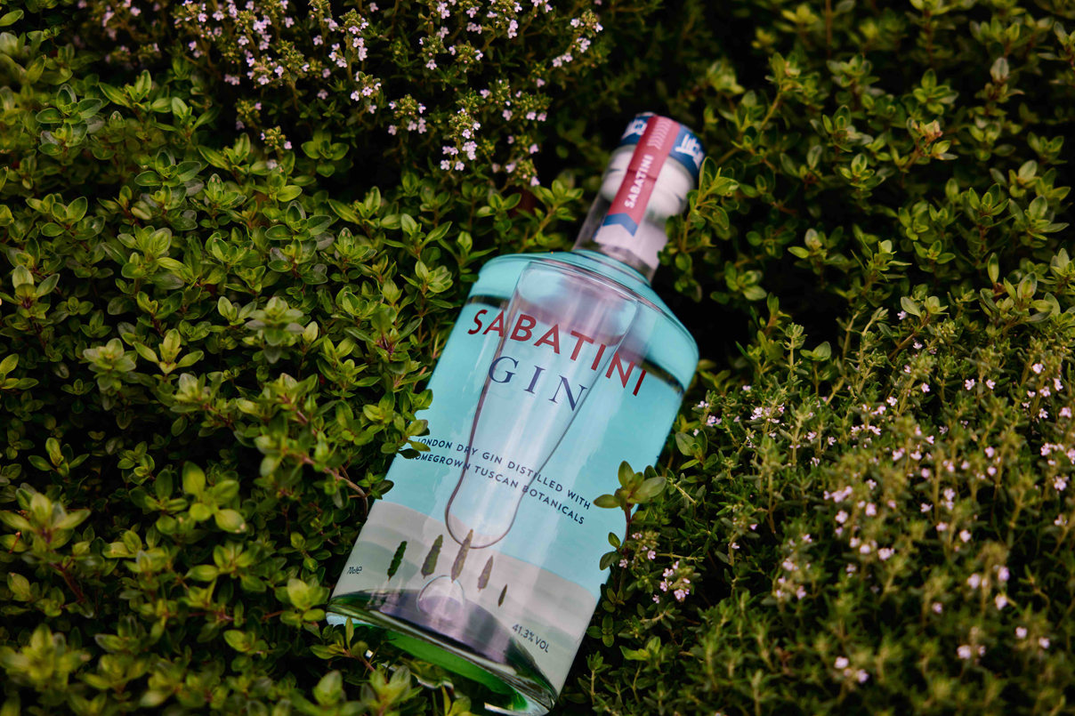 Sabatini Gin accordo Compagnia dei Caraibi