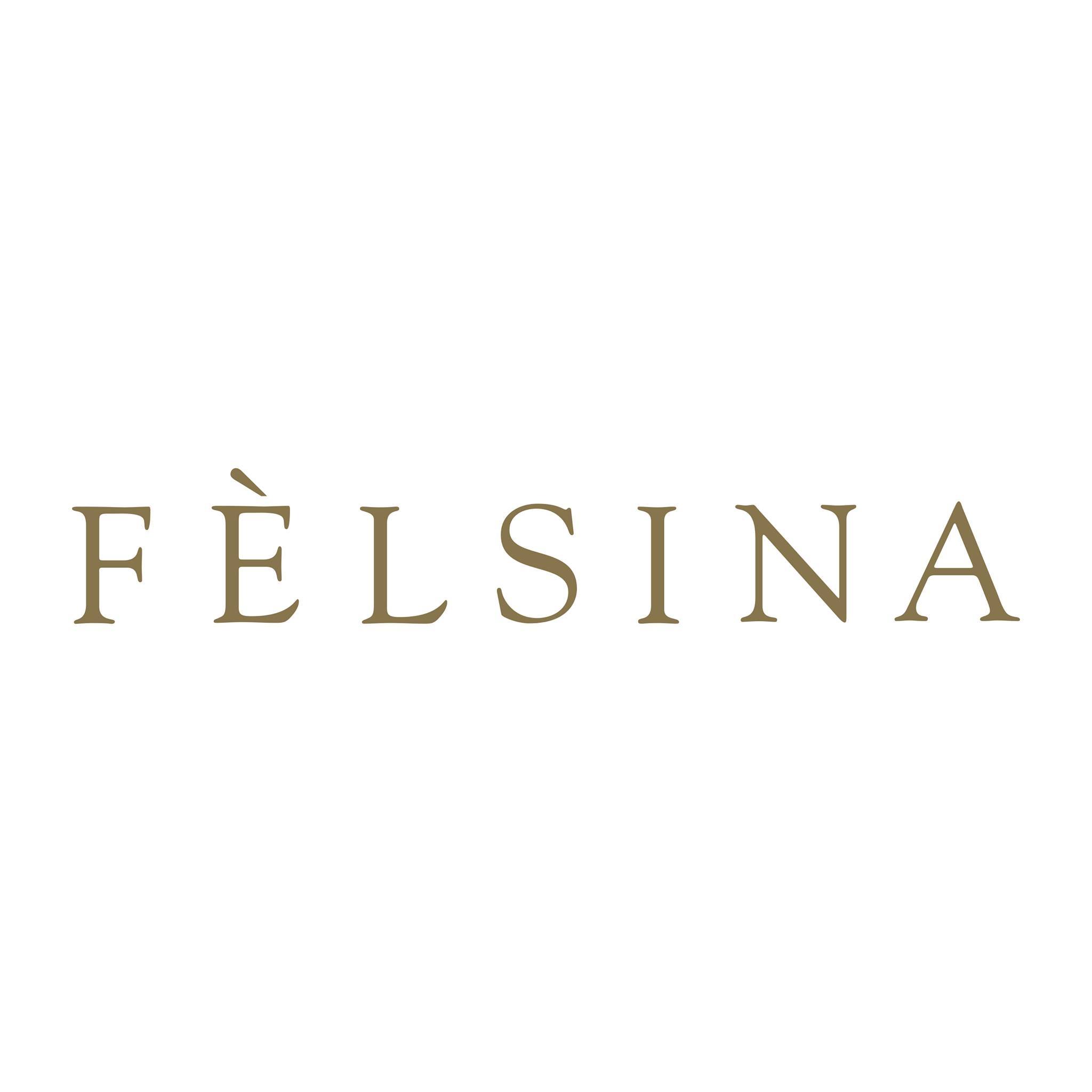 logo Fèlsina spa